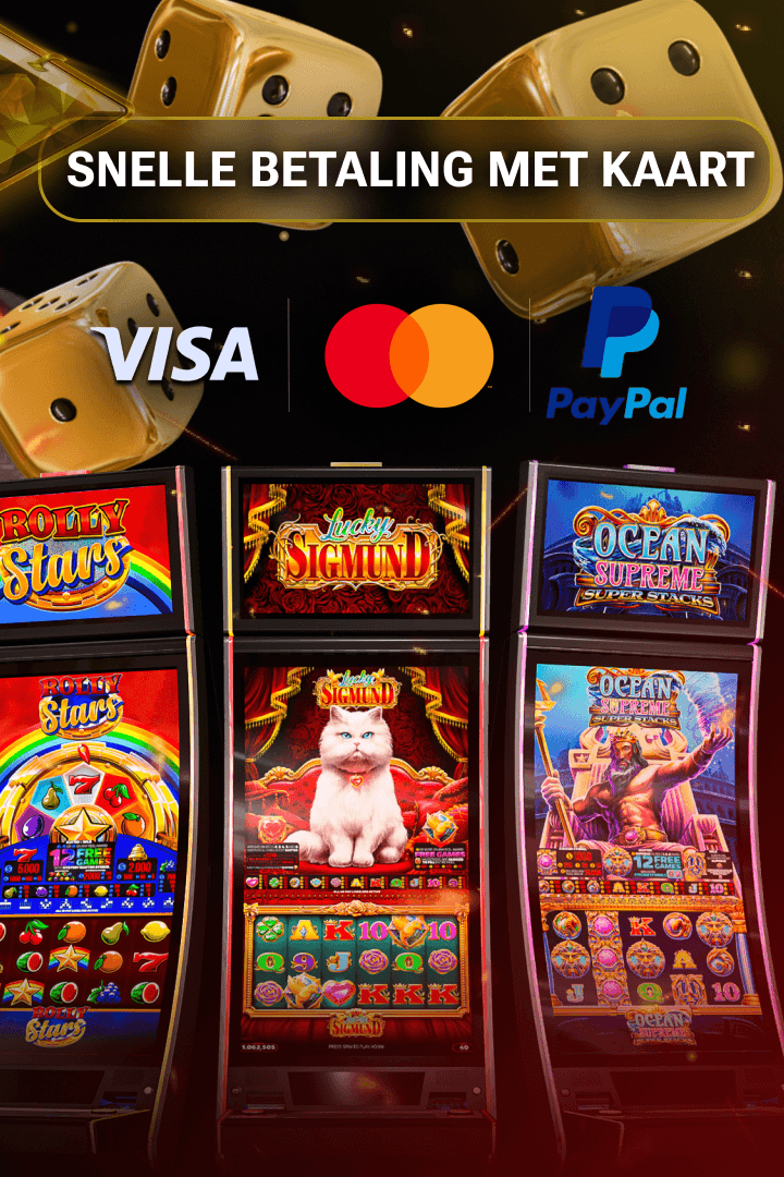 Casino Berlare Belgium Screenshot